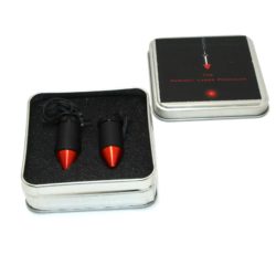 Perfect Laser Pendulum x 2 by Christopher Taylor