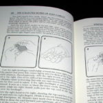 Collected Works of Alex Elmsley, Vol. 1 by Stephen Minch