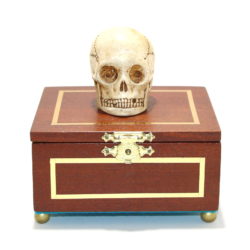 Talking Miniature Skull Casket by Unknown