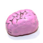 PK Brain by Little Jimmys Prop Shop