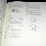 Art of Astonishment - Vol. 1 by Paul Harris