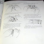 Art of Astonishment - Vol. 3 by Paul Harris