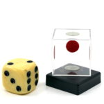 The Werry Dice Box by Werry