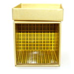 The Gift (Gold Limited Edition) by Angelo Carbone