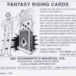 dr-schwartz-fantasy-rising-cards-ad-linking-ring-1999-09