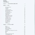 Gambling Collectibles - A Pictorial Journey by Steve Forte