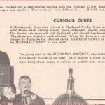 milson-worth-curious-cubes-ad-genii-1970-11